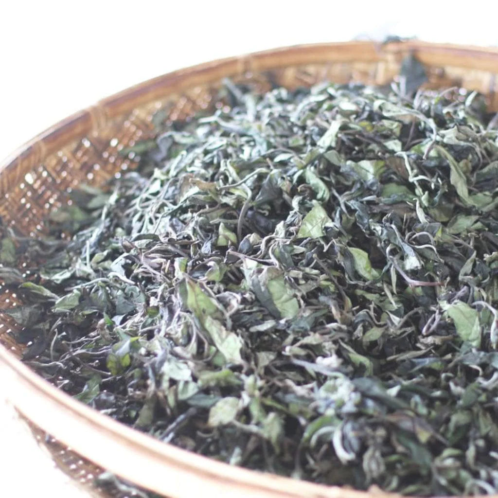 Pink Green Tea