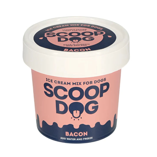 Dog Ice Cream- Bacon